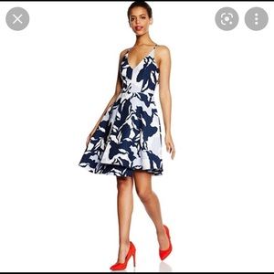 Keepsake the label, cocktail dress. Blue and white floral pattern.